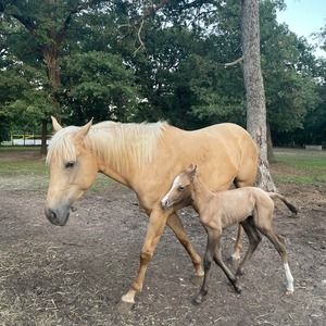 Meet your Posher, Lupe